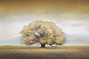  William Vanscoy