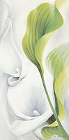  Anette Schmucker
