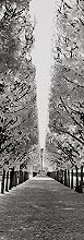  Helmut Hirler