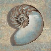 Kelly, Caroline: Aqua Nautilus