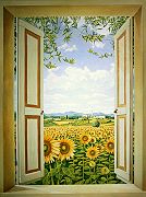 del Missier, Andrea: Finestra sui campi