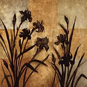  Erin Lange