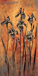  Erin Lange