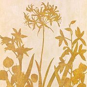  Erin Lange