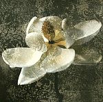  John Seba