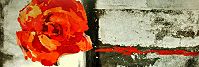 Sarah Ward
