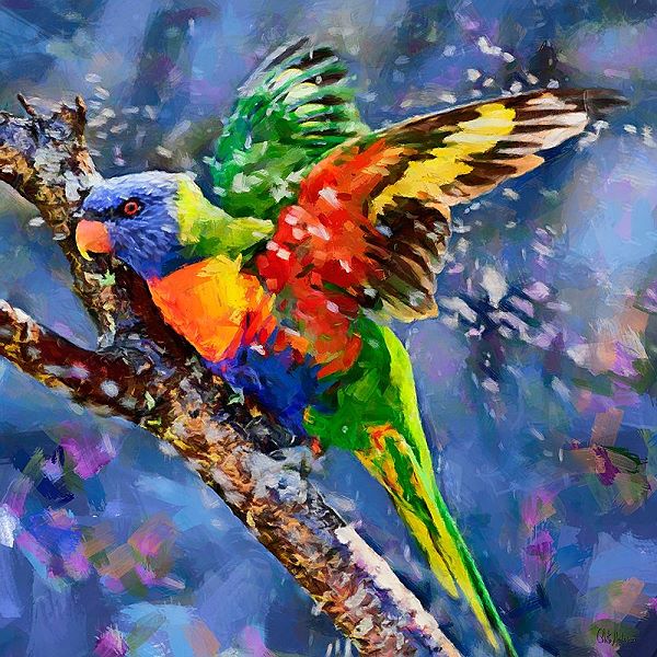 Celito Medeiros Parrot Keilrahmen Bild 50x50 Leinwand Papagei Bunt Vogel Pop Ebay